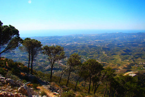 best-winter-hikes-near-malaga-hiking-mijas-walking-tours