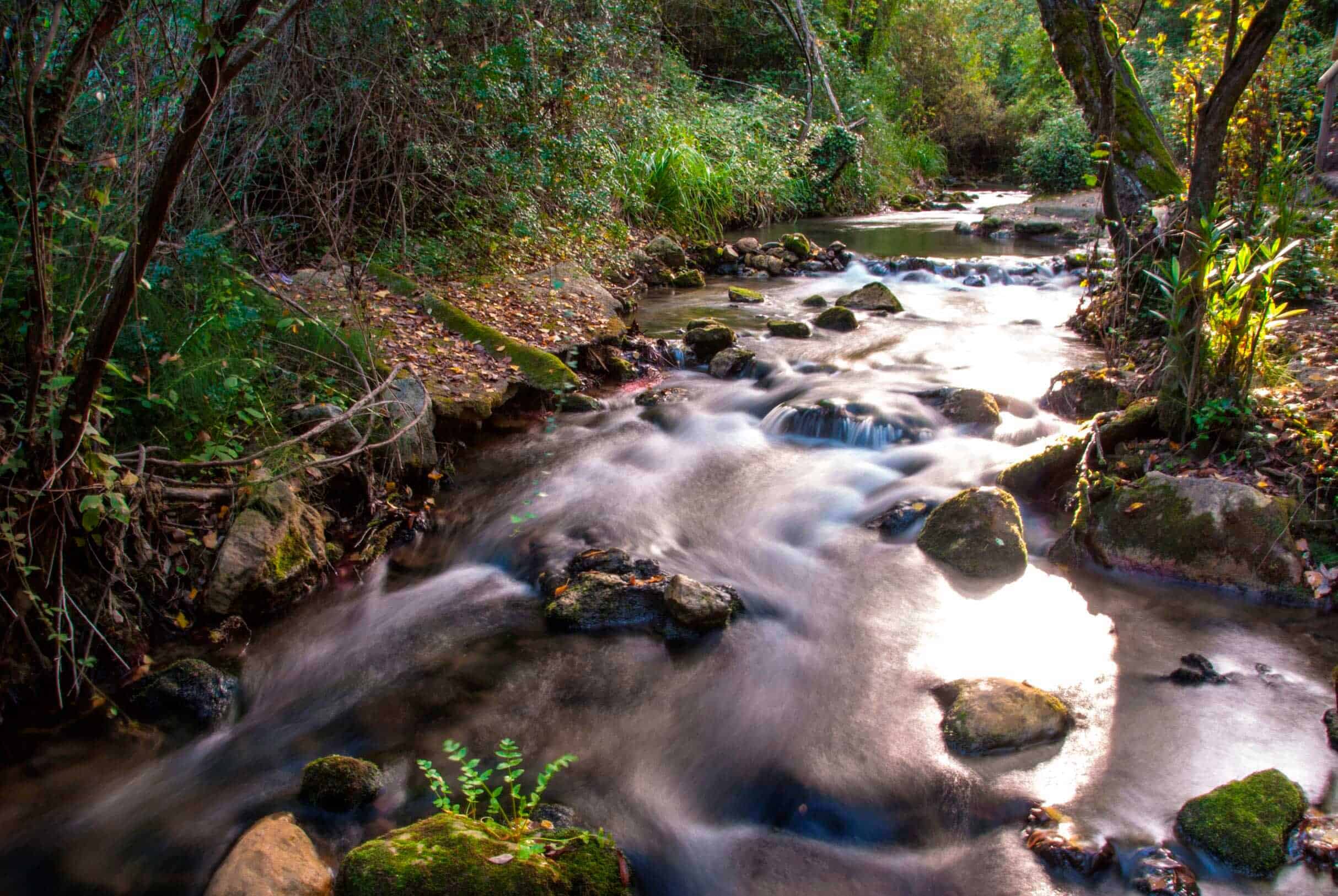 Best day walks near Cádiz